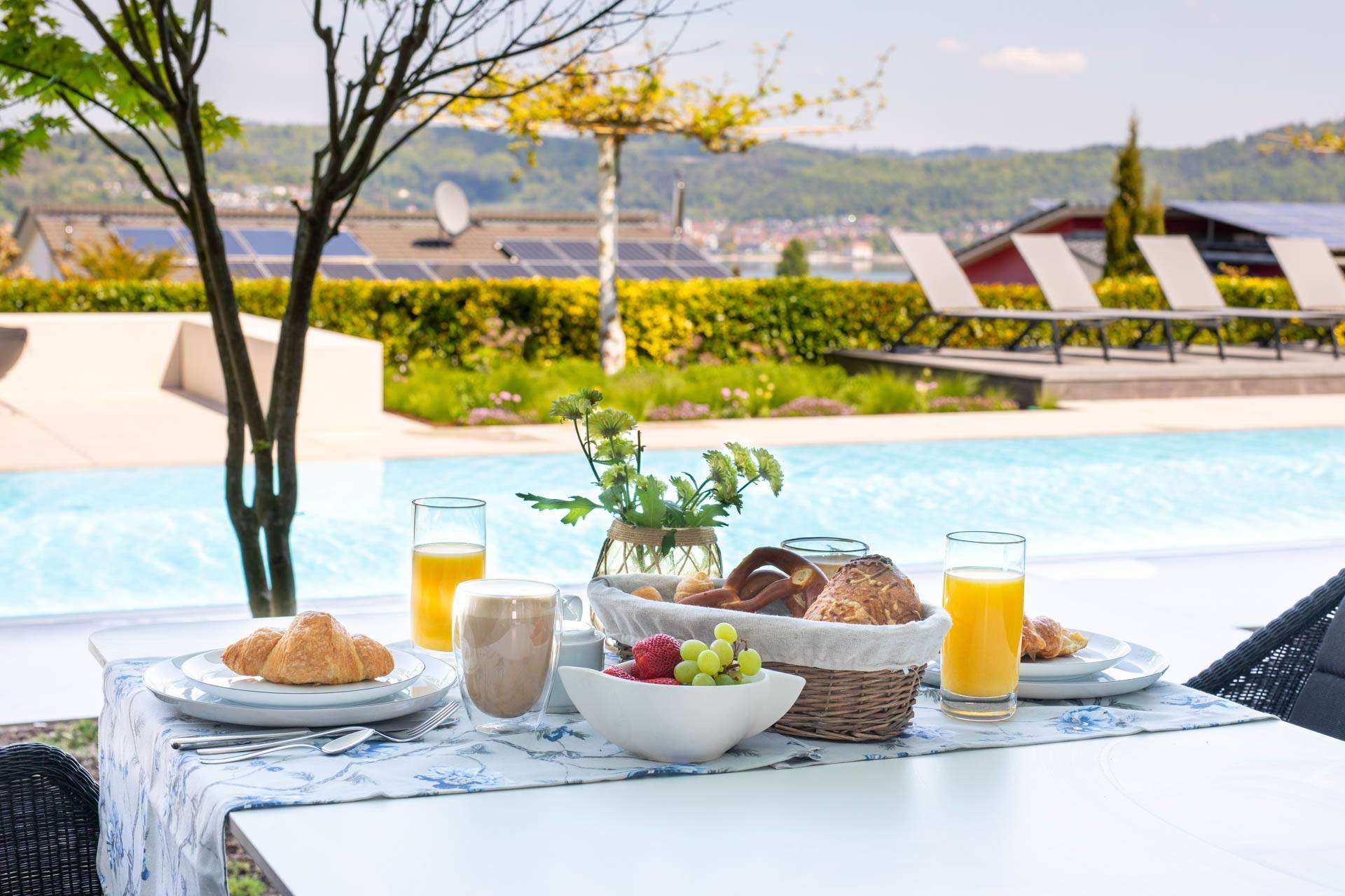 Terasse mit Infinity Pool in Ferienwohnung am Bodensee