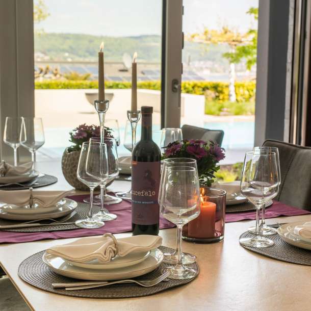 Wohnzimmer mit privatem Infinity Pool in Ferienwohnung am Bodensee