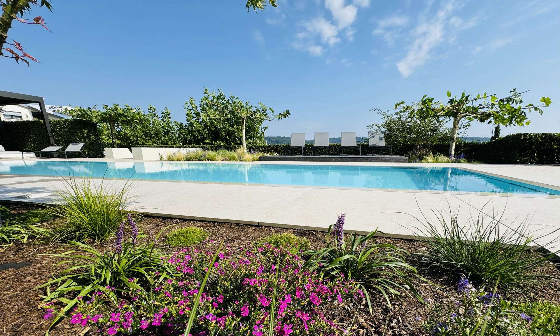 Pool Paradisio Poolsuite Sundeck